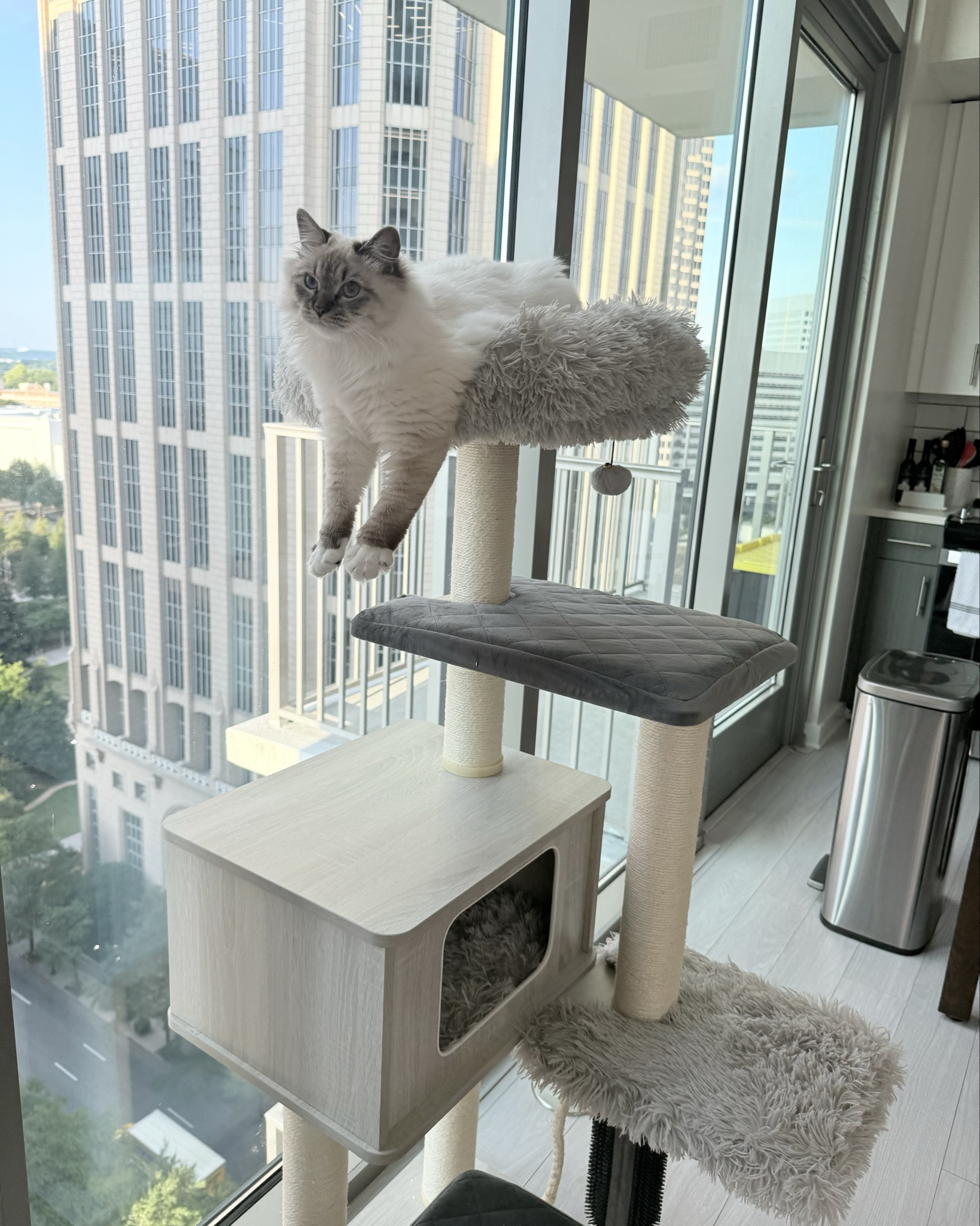 Costco cat tree!! LTK doesn’t have Costco so I’m linking similar!! It’s under $100 there!  Here is the exact link to this one:

https://www.costco.com/Catry%20Kasio%2055%20inch%20Cat%20Tree,%20With%206%20levels%20and%20Large%20Condo,%20Gray.product.4000284164.html?NATAPP=SEARCH&COSTID=iosapp_24.9.2&mboxSession=AC5F13ED-31D2-44AE-8997-91198BD20898&sh=true&nf=true



