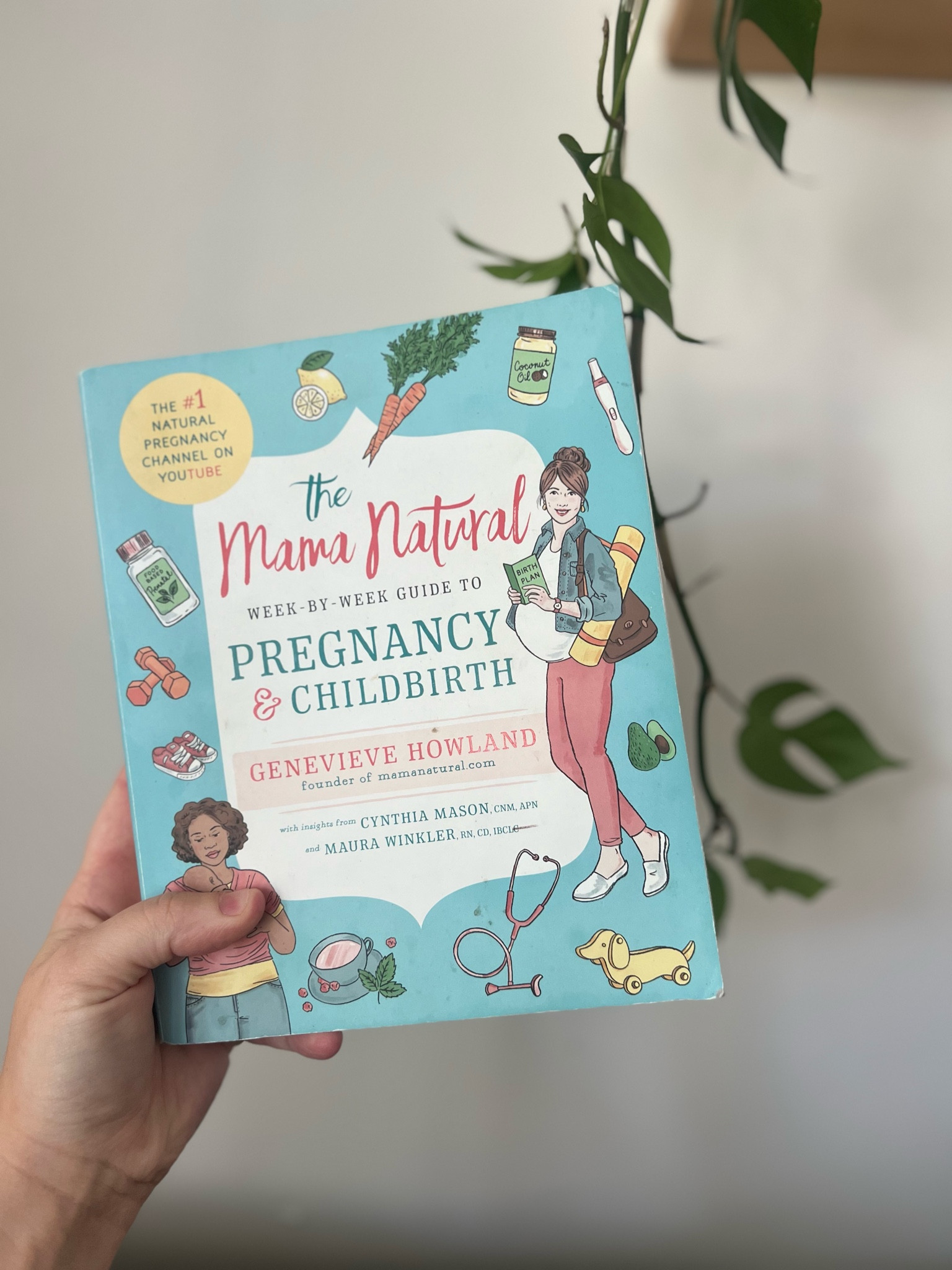 This book is full of everything you need to know about pregnancy & childbirth… natural style. 🙌🏼

It’s full of the facts, statistics, tips, recipes, & more! I’ve read this for info even now during my third pregnancy.