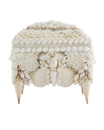 Boardwalk Shell Jewelry Box | Wayfair North America