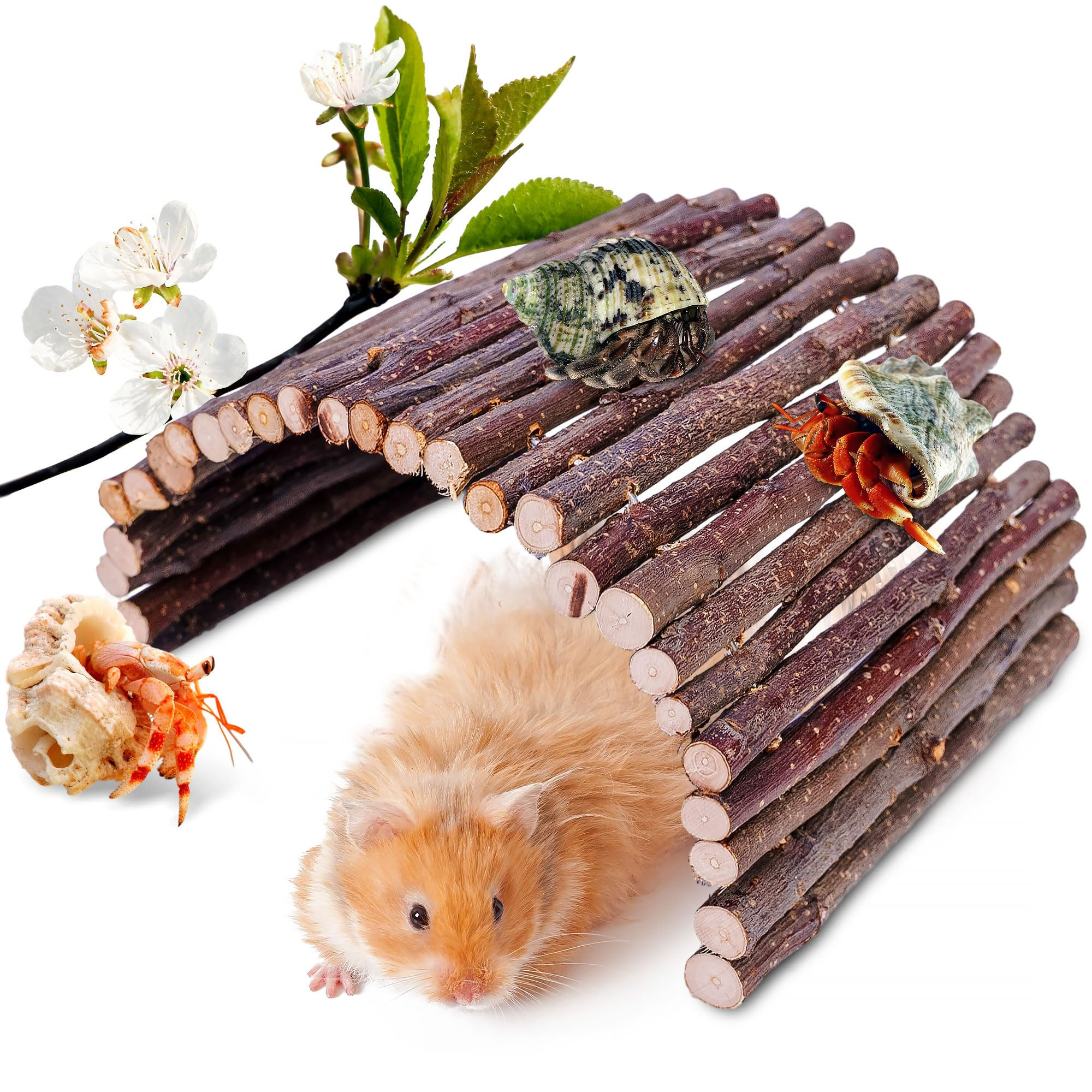 Hermit Crab Hideout & Climbing Toys - Large Size Reptile Climbing Decor for Small or Medium Hermi... | Amazon (US)