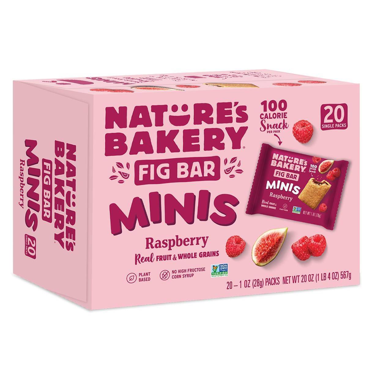 Nature's Bakery Raspberry Fig Bar MINIS - 20oz/20ct | Target