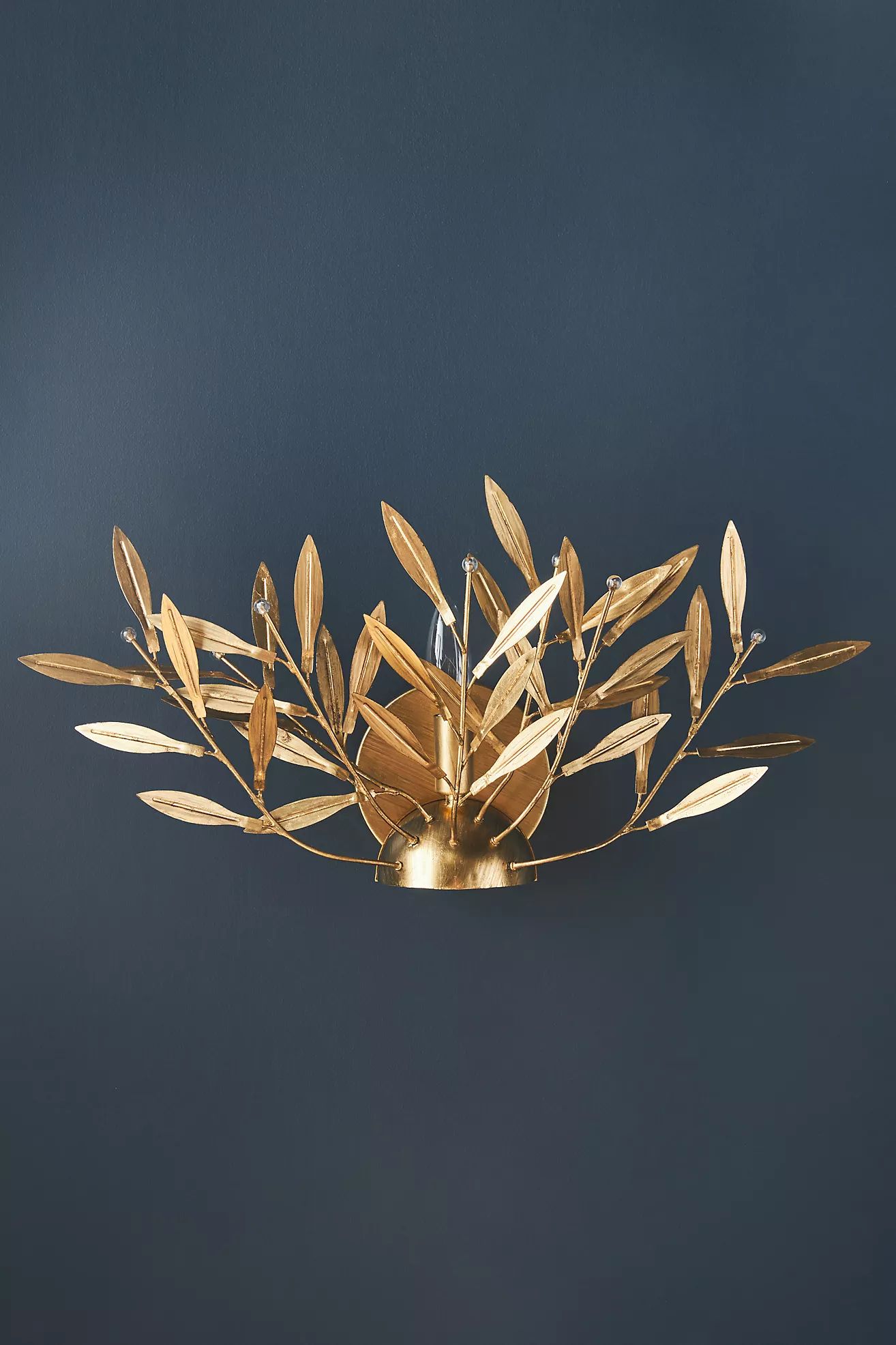 Willow Sconce | Anthropologie (US)
