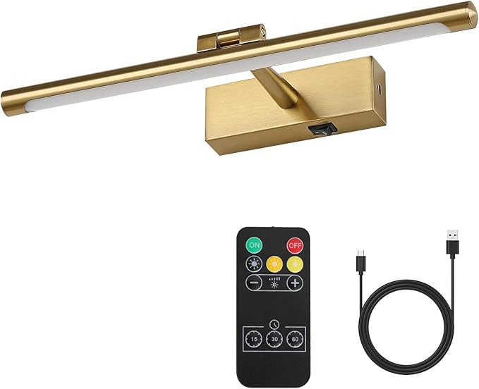 Modern LED Picture Light Dimmable 15.75 "Brass Picture Light lampshade can Rotate up or Down 270 ... | Amazon (US)