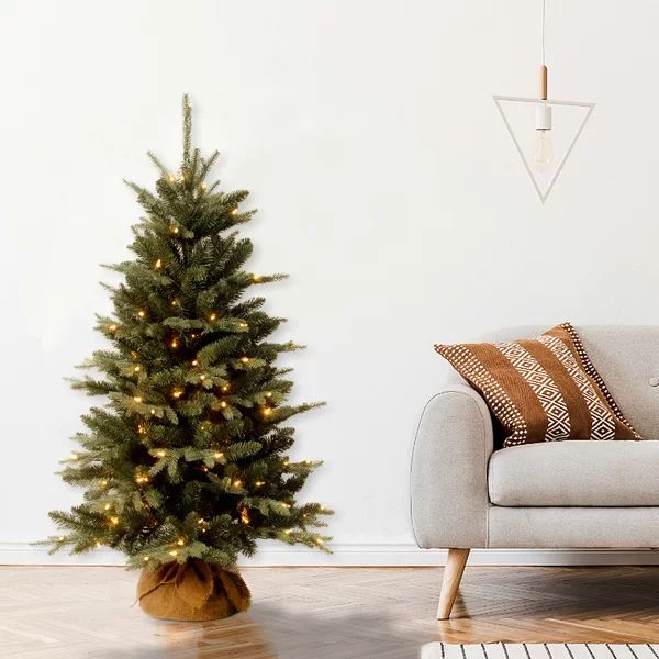 4' Lighted Faux Pine Christmas Tree | Wayfair North America