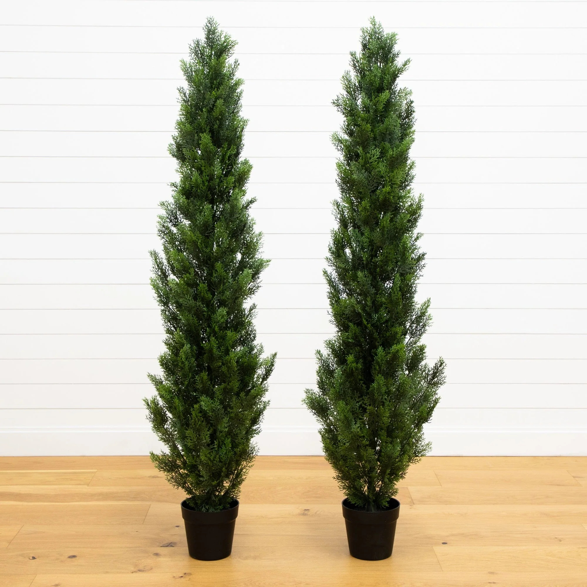6’ Artificial Topiary Cedar Tree UV Resistant (Indoor/Outdoor) - Set of 2 | Nearly Natural | Nearly Natural