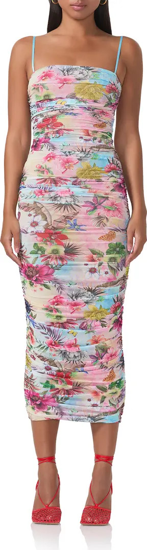 Hazel Print Ruched Mesh Midi Dress | Nordstrom