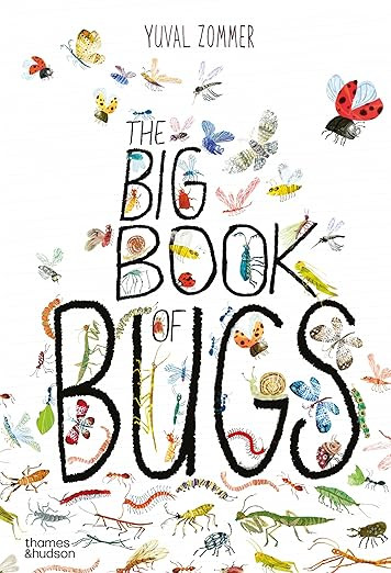 The Big Book of Bugs (The Big Book Series) | Amazon (US)