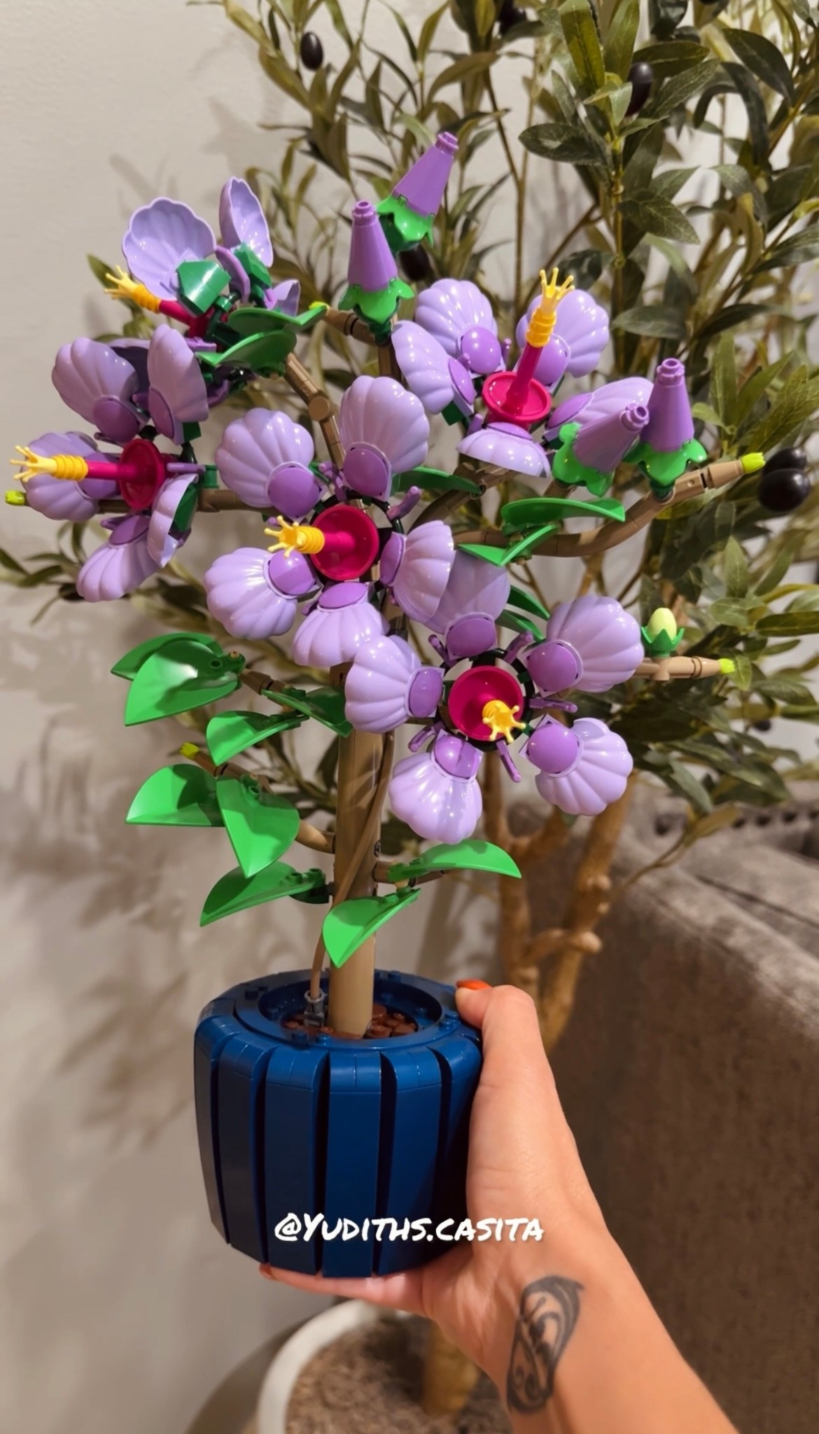 #LTKKids #LTKHome #LTKFamily