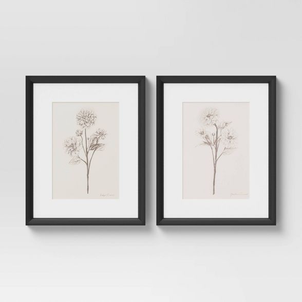 (Set of 2) 16&#34; x 20&#34; Framed Floral Sketch Framed Wall Art White - Threshold&#8482; | Target