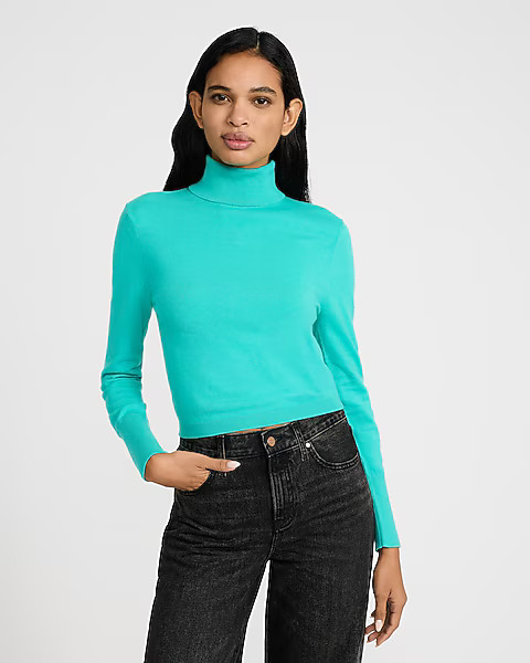 Airy Soft Turtleneck Cropped Sweater | Express