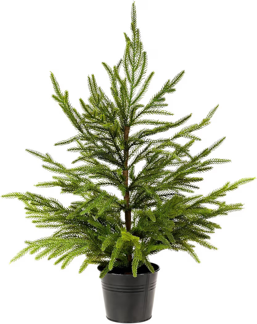 WBHome 2ft Tabletop Artificial Norfolk Pine Tree - 24" Faux Tree Potted Green for Front Porch Chr... | Amazon (US)