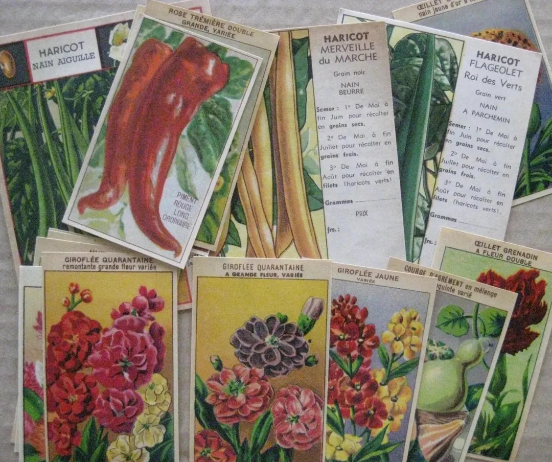 17 Vintage French Flower Vegetable Seed Packet Labels Garden Art - Etsy | Etsy (US)