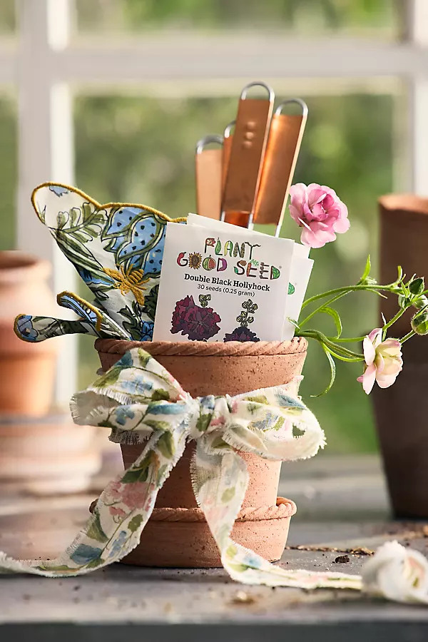 Rope Rim Galestro Pot + Saucer Set | Anthropologie (US)