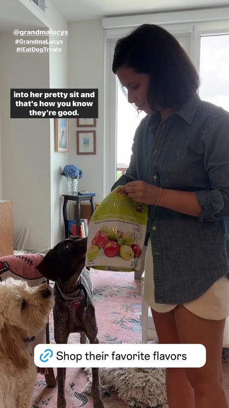 Dog treats, dog food, The second Grandma Lucy’s treats come out Remi goes straight into her pretty sit. These organic oven-baked treats have been high value treats for both Remi and Ralph as they get adjusted to apartment life. Because they’re getting used to elevator rides and crowded intersections, I’ve been making sure that the increase in treats means they’re getting high quality treats (these have 100% USDA organic ingredients) that they still see as high value and won’t ignore. I’ve linked their favorite flavors below!


#LTKhome #LTKfindsunder50 #LTKVideo