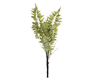 R. Nest 36"" Faux Fern Stem | QVC