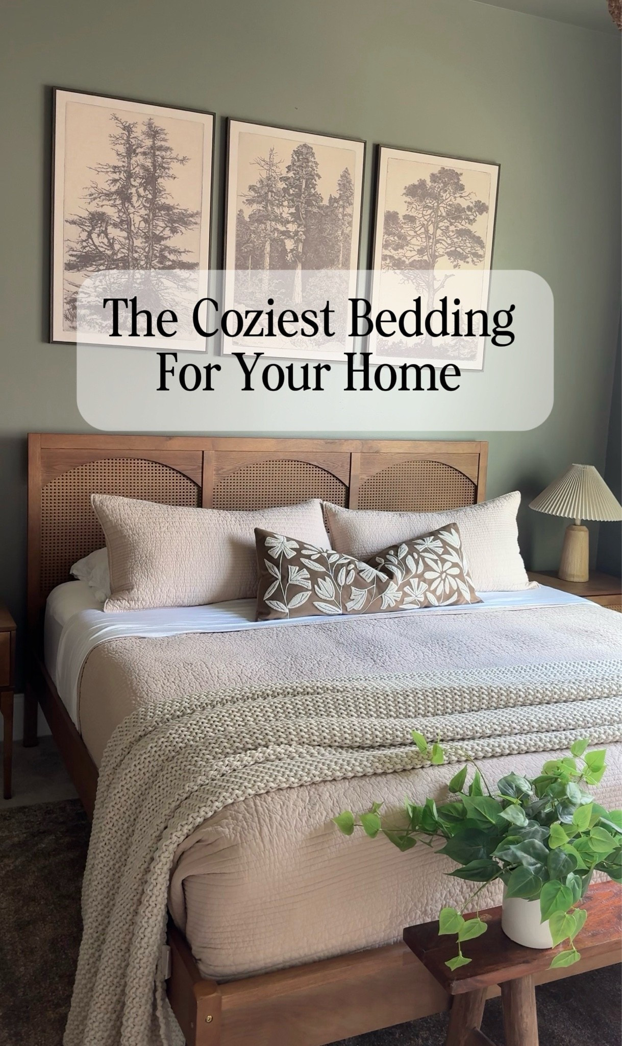 ☁️ Your bed deserves to be the coziest spot in the house. These bedding favorites are soft, inviting, and give your bedroom that luxurious hotel feel—without the luxury price tag. Once you crawl in, you won’t want to get out! 🤍#LTKFinds #CozyBedroom #Bedding #LuxuryBedding #BedroomDecor #BedroomInspo #NeutralHome #CozyHome #HomeDecor #HomeStyling #OrganicModern #DesignerLooksForLess #AffordableHomeDecor #HotelStyle #BedGoals #BedroomRefresh #ComforterSet #LayeredBedding #HomeInspiration #AmazonHome #WayfairFinds #HomeFinds #SleepInStyle #CozyLiving #InteriorDesign #BedroomMakeover #LuxuryForLess #LTKCreator #HomeEssentials

#LTKHome #LTKHome