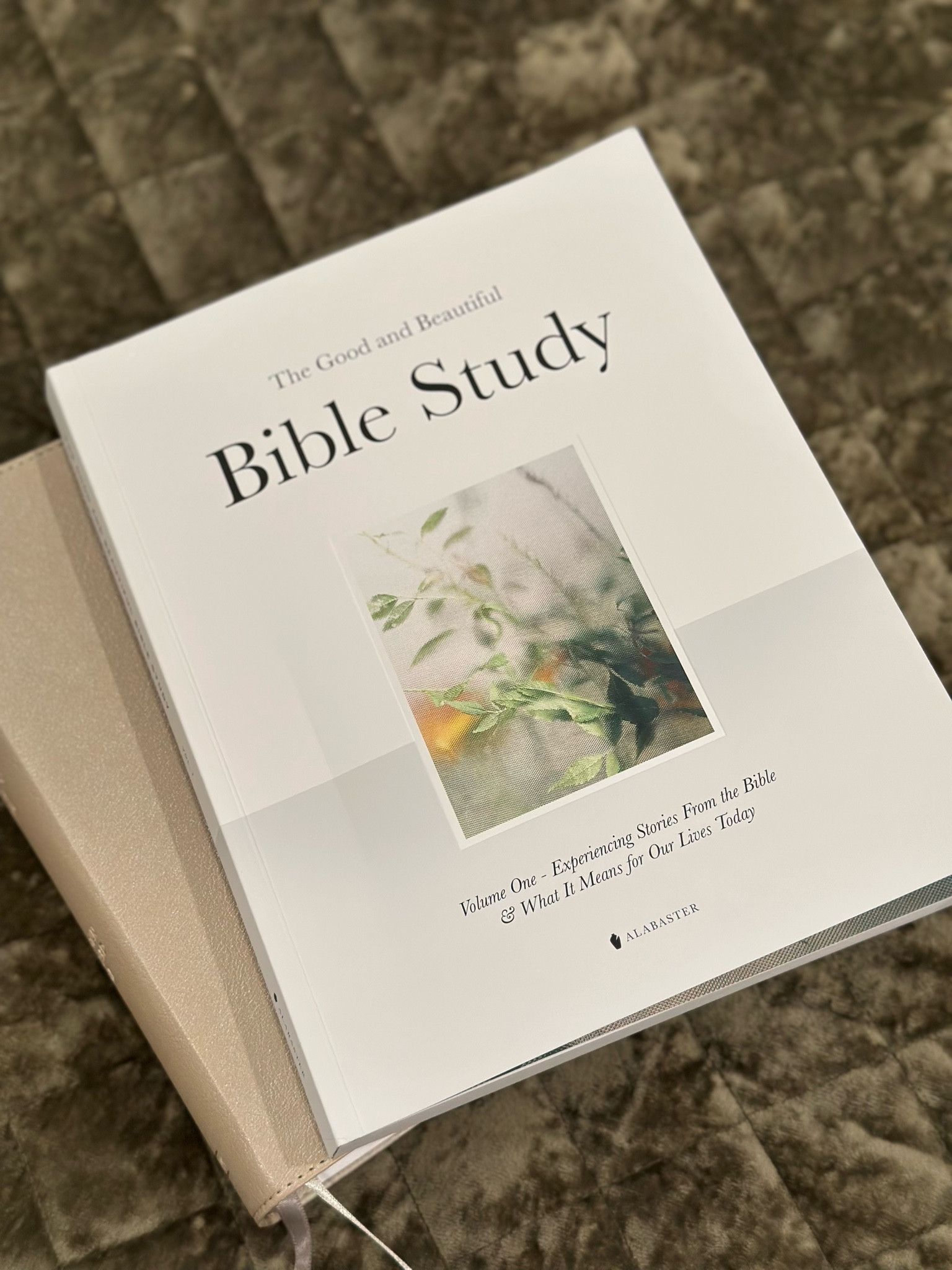 Regardless of where you are in the Bible, this study Bible couldn’t be easier and better laid out for understanding and growth in the stories of the Bible. 

#LTKFamily #LTKFindsUnder50 #LTKGiftGuide