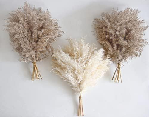 30 PCS Boho Decor, Fluffy Pompas Grass, Natural Dry Pampas Grass Small, Short Pampass Bulk for Bo... | Amazon (US)