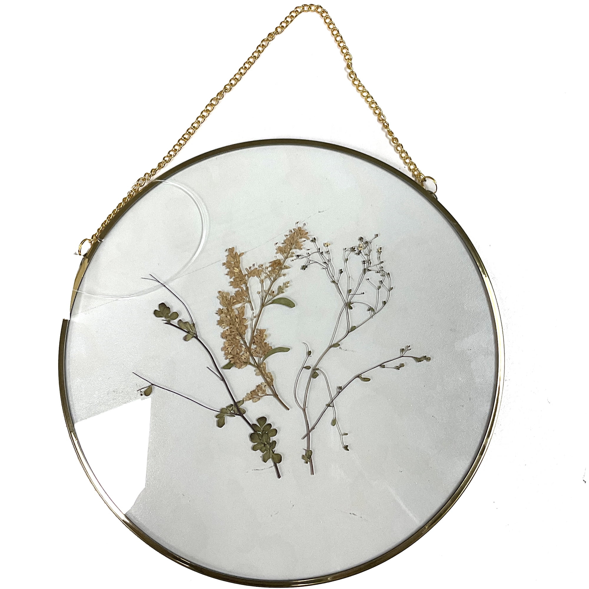 Hanging Gold Circular Framed Glass Dried Pressed Floral Wall Decor | Walmart (US)
