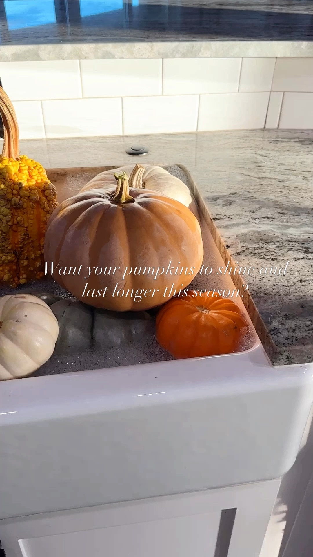 Here's a trick to keep those pumpkins looking fresh! ✨🎃✨

The secret is killing the mold and bacteria! 🦠 

Here’s how to do it: 
•Start by filling up your sink with hot water. 
•You will then add bleach (or vinegar if you Iike the idea of a non toxic option) to the water. Note: 1tbsp bleach to 1 quart of water! You can also create the this mixture and pour it into a spray bottle. 
* You can allow the pumpkins to soak in the mixture for a few minutes and/or take your spray bottle and use a brush to apply the solution to the outside and inside  of the pumpkin! This is going to kill any mold or bacteria!!! 
* once the pumpkins have dried, you can seal it with clear spray for extra protection! ~ I use the Rust-Oleum Painters RUST-OLEUM PAINTER'S Touch 2X extra cover clear gloss!

Now your pumpkins will last weeks longer! 👏Try it out and thank me later! 



#LTKSeasonal #LTKVideo #LTKHome