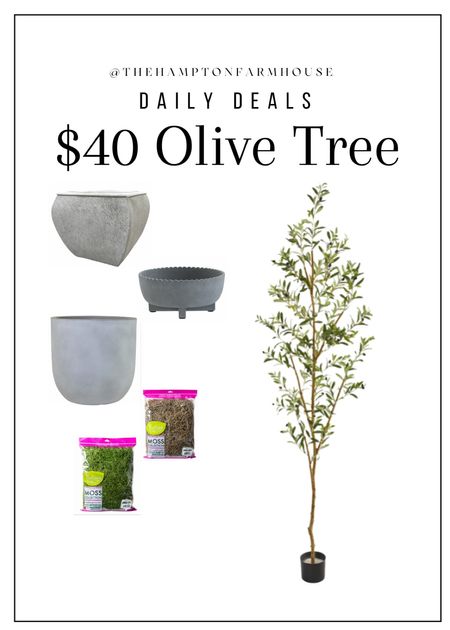 Affordable OLIVE TREE that won’t disappoint! On sale! 

Faux tree, olive tree, planter, living room 

#LTKsalealert #LTKstyletip #LTKfamily