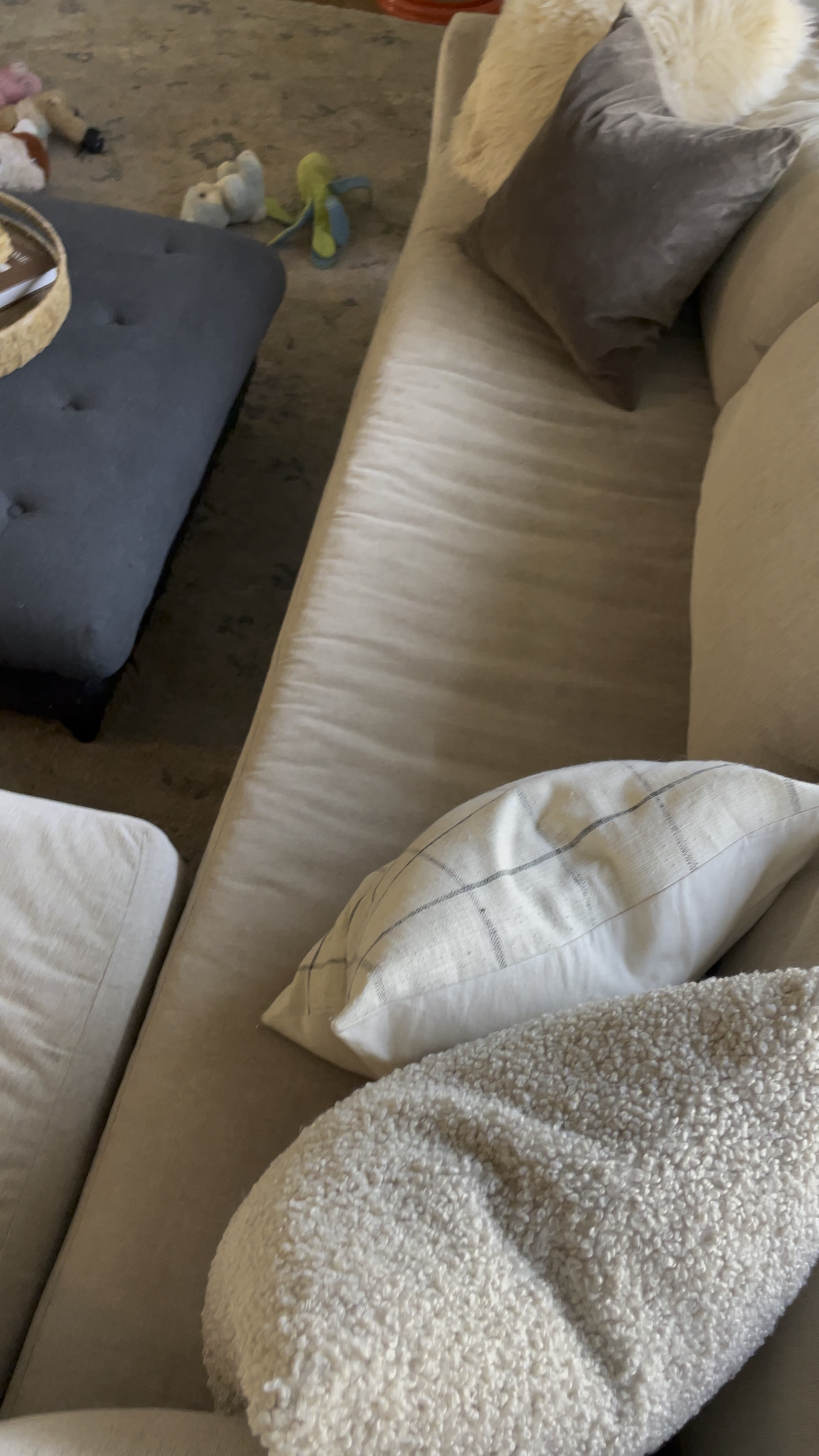 Durability is a must when shopping for a sofa as a pet owner! 

3 things you want to look for: 
1) performance fabric 
2) removable and reversible cushions
3) easily reshapable cushions made from down or high quality down alternative materials 

Our sofa is the Sullivan sectional from Maiden Home, upholstered in Performance Tweed in the color Oatmeal. It’s held up great in the 2.5 years we’ve had it. It resists stains and cleans up easily with vacuuming and water! 

Shop it (and variations) below. It comes in multiple fabric options, sizes and shapes! 

#LTKVideo #LTKhome