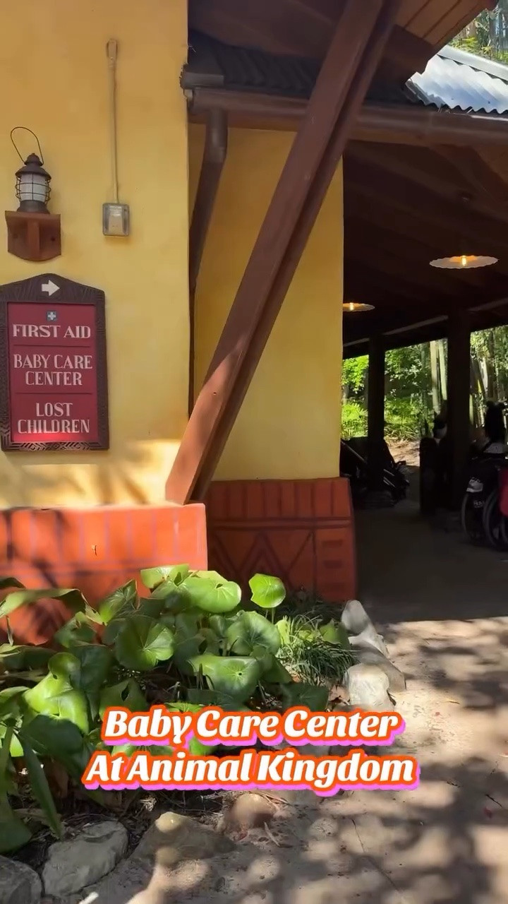 Traveling with a baby to Animal Kingdom? Here’s my top items NOt to forget. 

If you do forget something or need break, check out the baby care center! Located in Discovery Island next to Creature Comforts (Starbucks).

#LTKTravel #LTKKids #LTKBaby