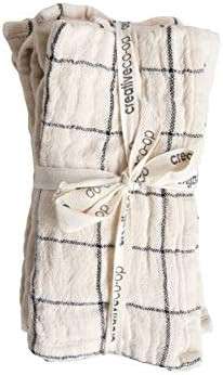 Creative Co-Op DA9759 Set of 4 Striped Cotton Napkins | Amazon (US)