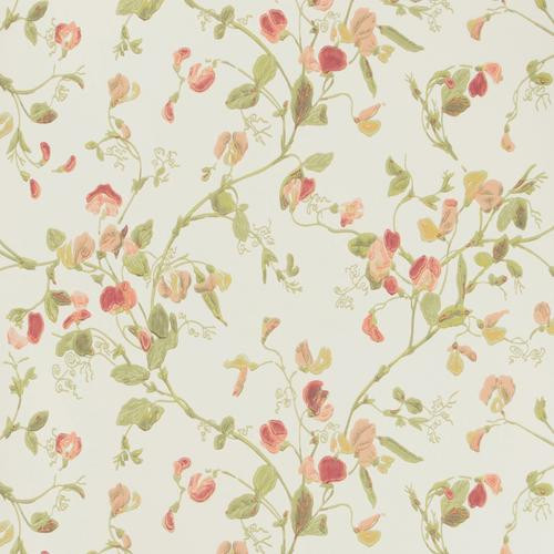Cole & Son Sweet Pea Pink Wallpaper | DecoratorsBest | DecoratorsBest