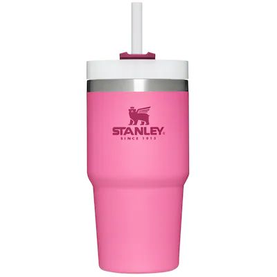 Stanley 20-fl oz Stainless Steel Insulated Water Bottle | Lowe's