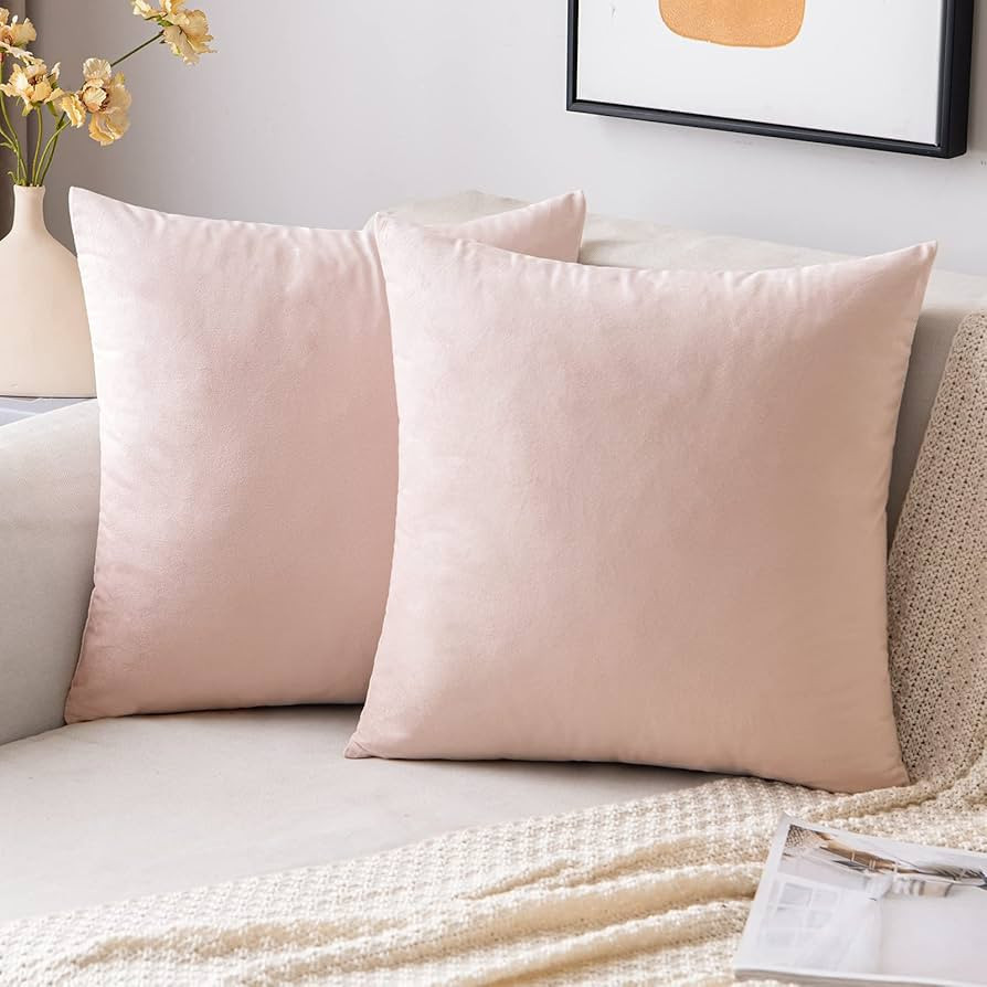 EMEMA Pack of 2 Velvet Throw Pillow Covers Decorative Square Pillowcase Soft Solid Cushion Case f... | Amazon (US)