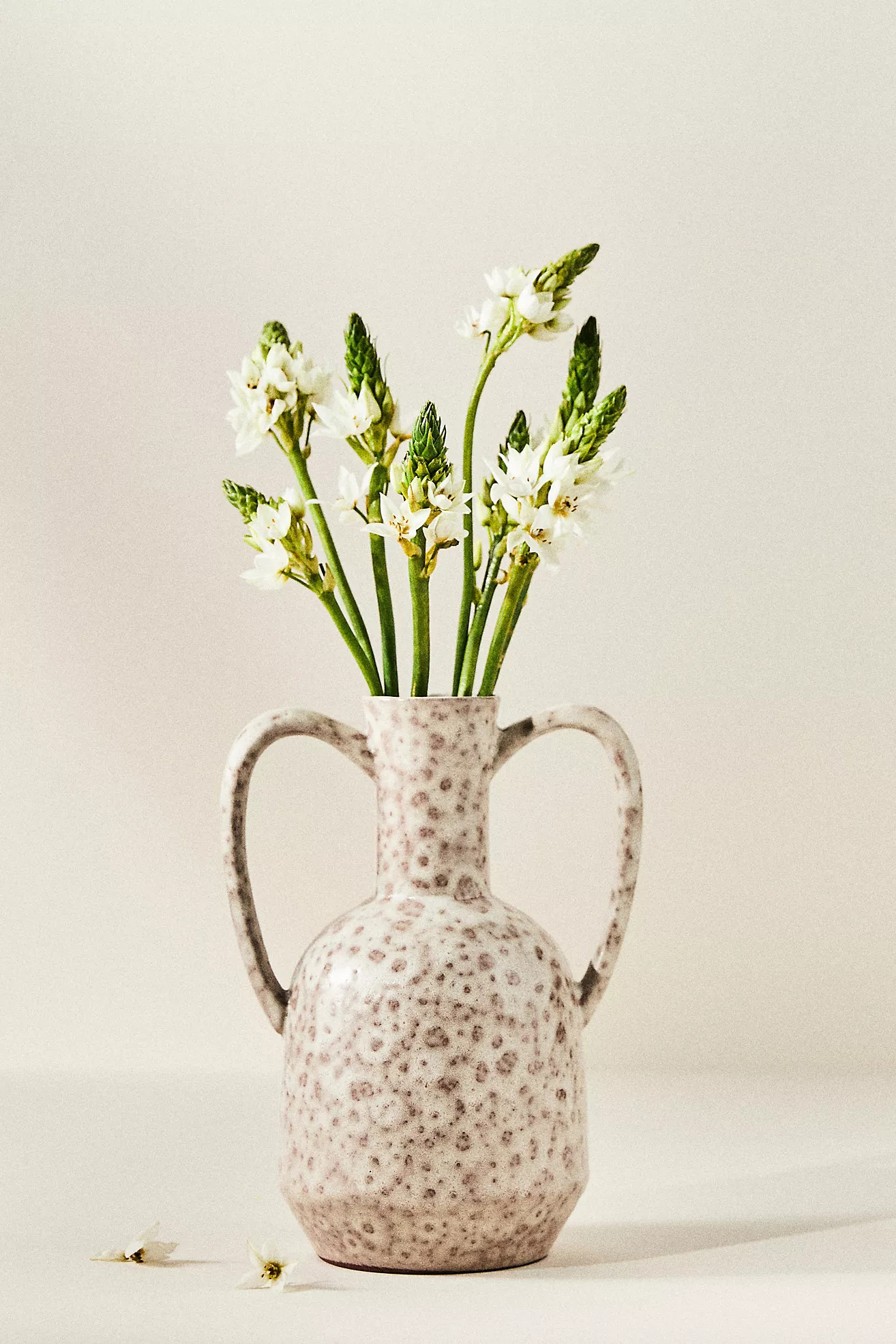 Verona Vase | Anthropologie (US)