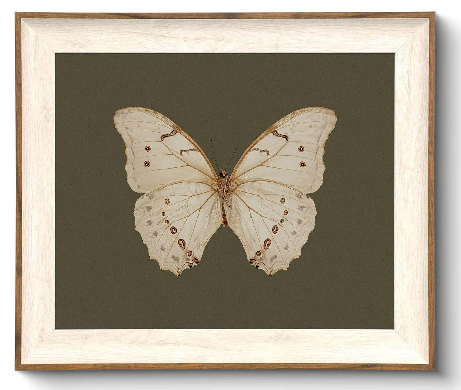 Uniro Vintage Framed Wall Art, Classical Butterfly Oil Paintings, Dark Moody Insect Canvas Prints... | Amazon (US)