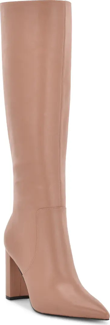 Danee Pointed Toe Knee High Boot | Nordstrom