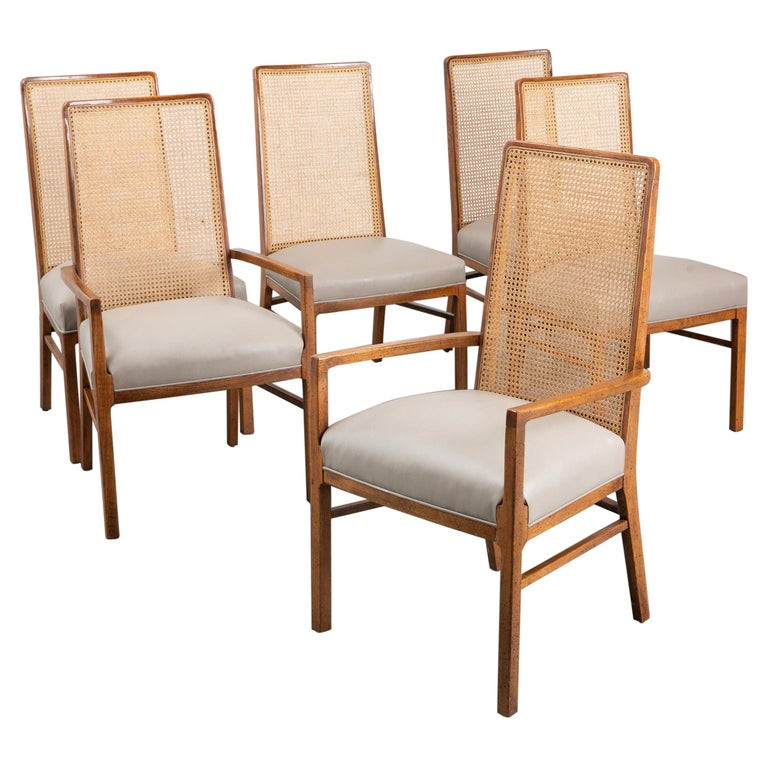 Set of 6 Cane Mid-Century Style Dining Chairs For Sale at 1stDibs | leather and cane dining chair... | 1stDibs