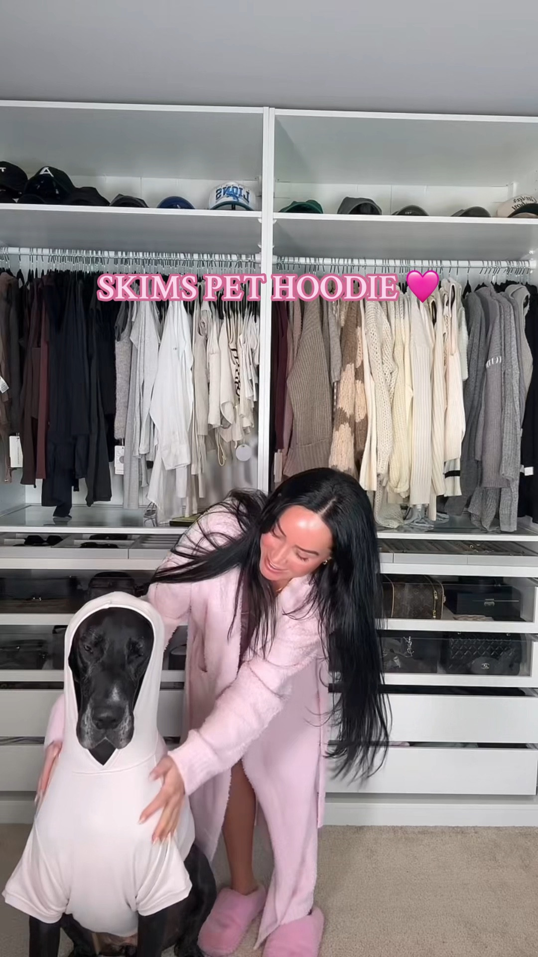 My dog is wearing the 3XL 

#LTKStyleTip #LTKPets #LTKWatchNow