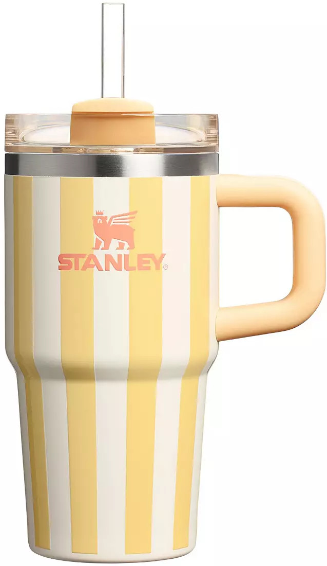 Stanley 20 oz. Quencher H2.0 FlowState Tumbler - Oasis Collection | DICK'S Sporting Goods