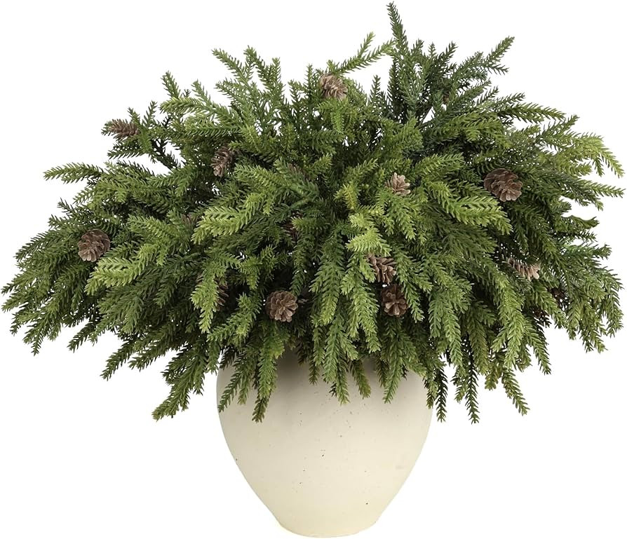 6 Pcs Real Touch Christmas Pine Branches with Pine Cones, Natural Droopy,Soft Bendable Pine Stems... | Amazon (US)