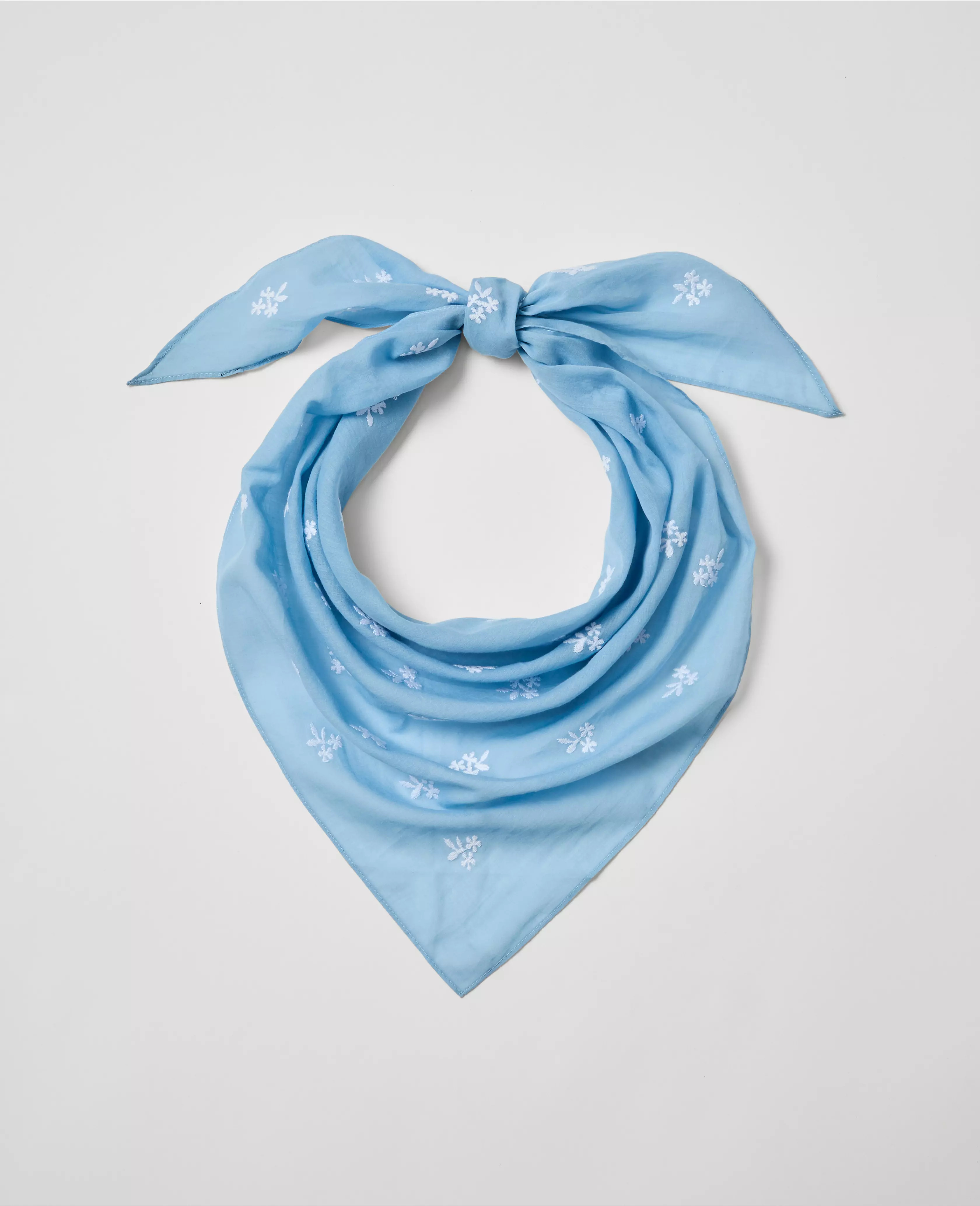 Weekend Collection Embroidered Scarf | Ann Taylor