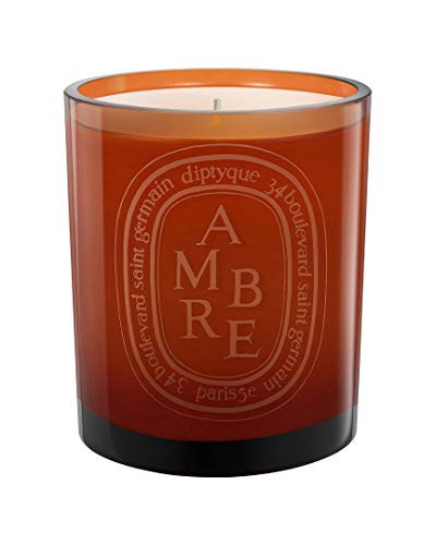 Diptyque Ambre Scented Candle, 10.2 Ounce (187856) | Amazon (US)