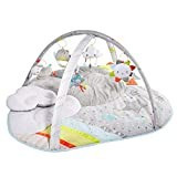 Skip Hop Baby Play Gym, Silver Lining Cloud, Grey | Amazon (US)