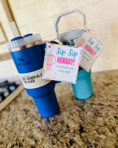 Looking for an end of the year teacher gift?! #ad #StanleyPartner Nothing beats a @Stanley! The 40oz Quencher or the 30oz IceFlow are my personal favorites, and these new colors are just gorgeous! Teachers need to stay hydrated throughout the school day, and a Stanley is the perfect way to show how much they are appreciated! 

#LTKGiftGuide #LTKFindsUnder50 #LTKFindsUnder100