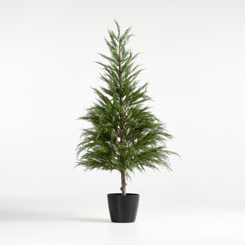 Faux Potted Cypress Tree 6' + Reviews | Crate and Barrel | Crate & Barrel