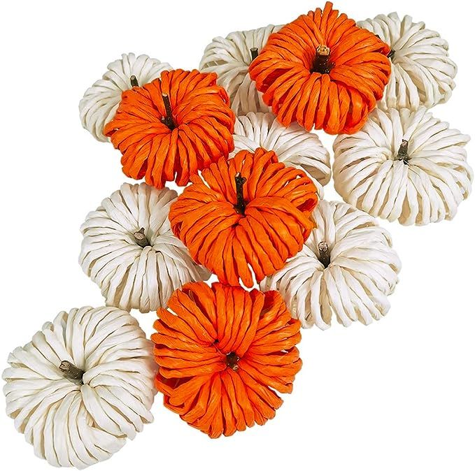 Winlyn Package of 12 Assorted Raffia Pumpkins Cream and Orange Stunning Autumn Display | Amazon (US)
