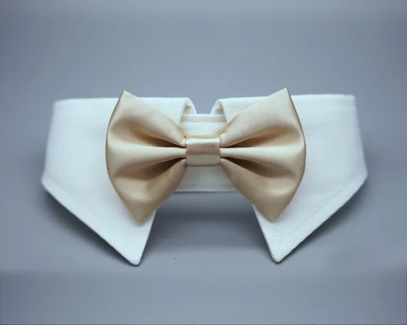 Champagne Dog Bow Tie Collar Dog Shirt Collar Dog Bowtie | Etsy | Etsy (US)