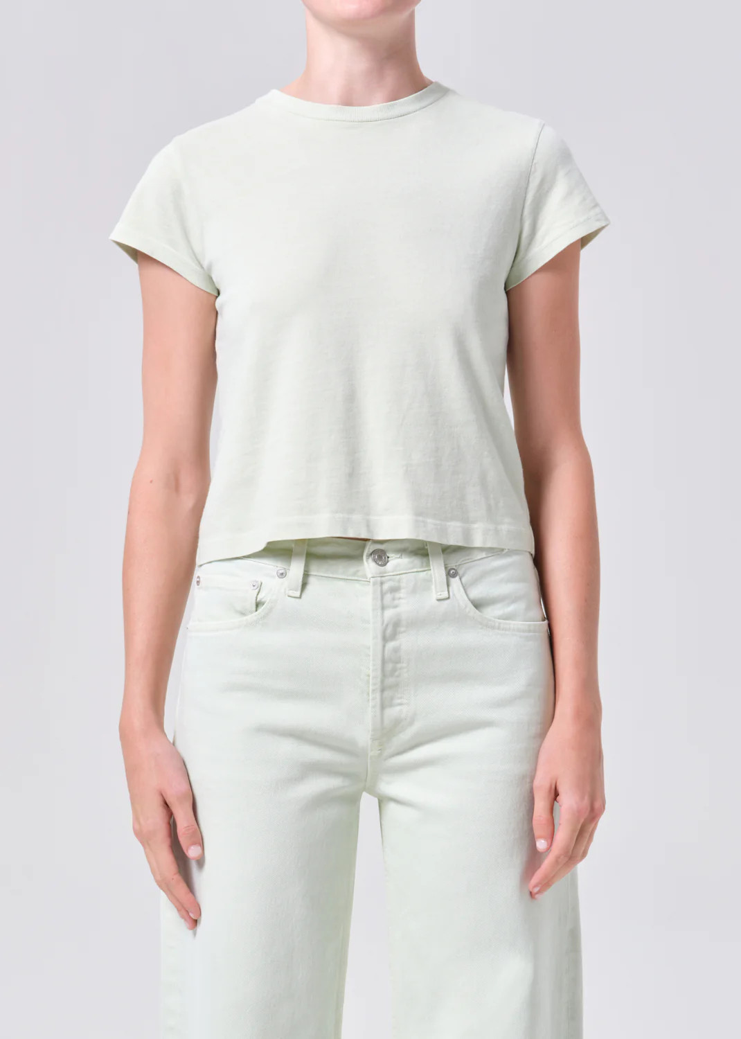 Adine Shrunken Tee in Mint Cream | AGOLDE