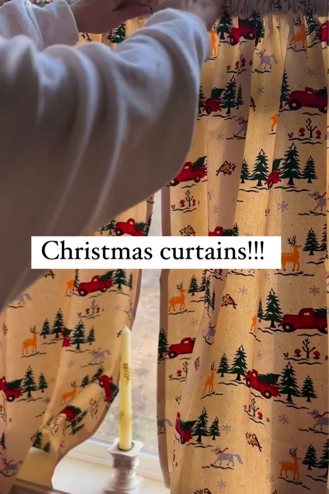 It’s a little red truck hauling a Christmas tree!!!!!! 