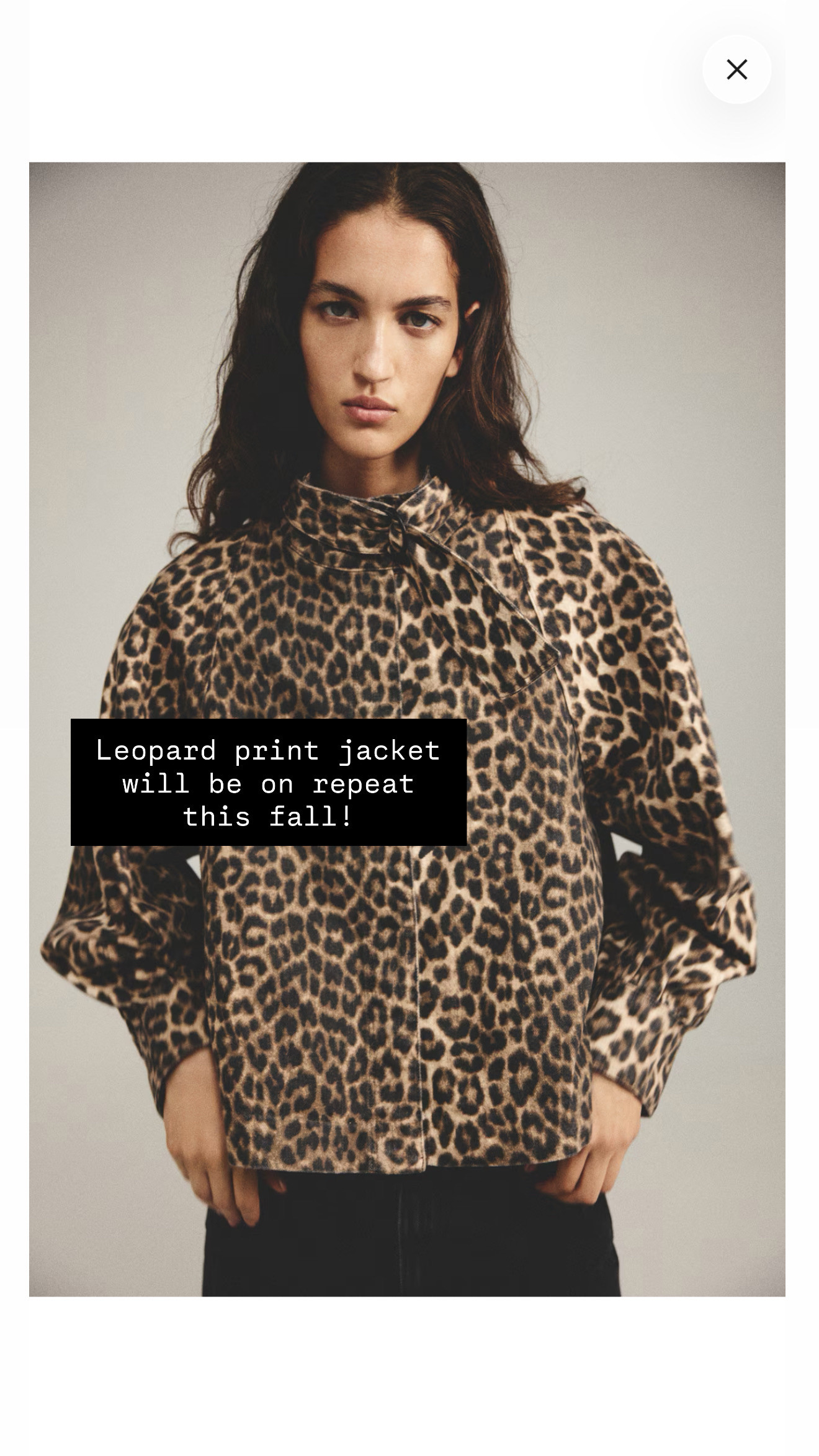 I love a good print, especially leopard print in the fall! This pattern was trending big time last year, and it definitely still is for this year as well! Love this jacket!

Loverly Grey, leopard print, patterned jacket, fall jacket, H&M 

 #LTKSeasonal
