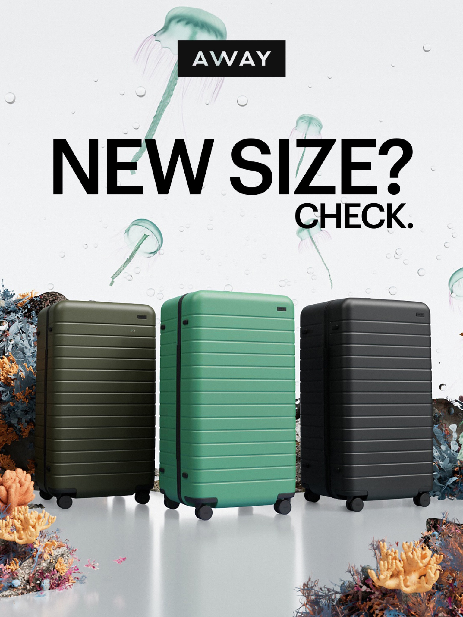 Up, up and away! The best new suitcase with more room to pack. It fits all your travel needs. 

#LTKtravel