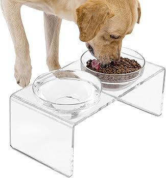 Acrylic Elevated Dog Cat Bowls Pet Feeder Double Bowl Raised Stand Comes with 2 Removable Glass B... | Amazon (US)